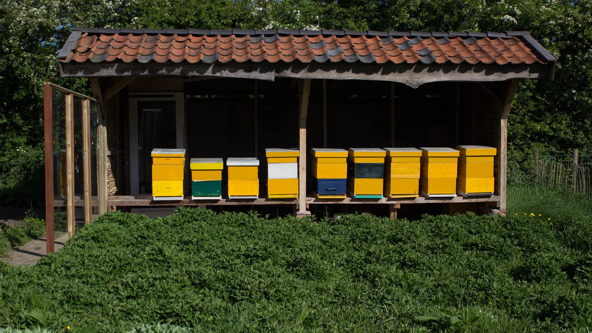 Schaapskooi Schijndel - Bijenkassen