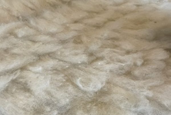 Wolatelier Goudeerlijk wol